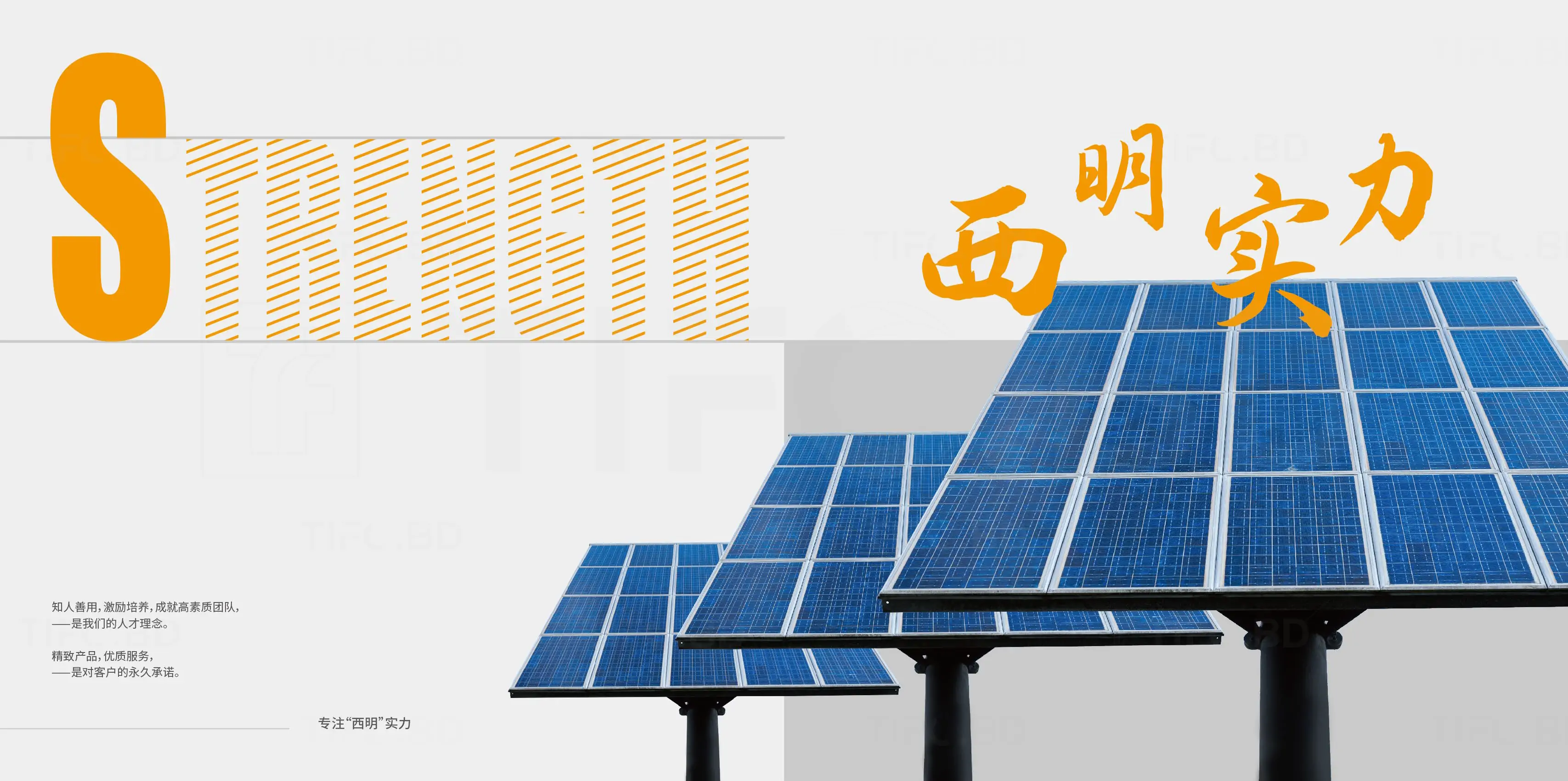 电力行业品牌宣传画册设计印刷 (9).webp